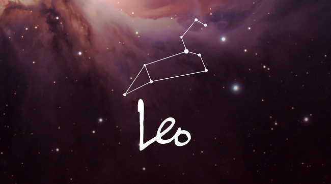 zodiac sign leo zodiac sign leo